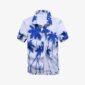 Camisa hawaiana (4)